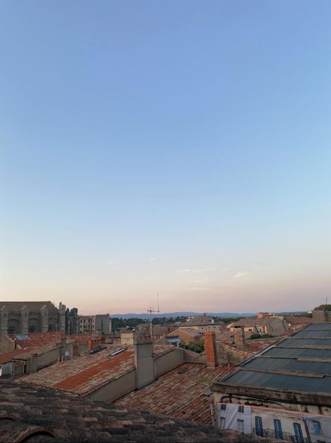 Rooftop Standing Place Carnot Каркассонн Екстер'єр фото